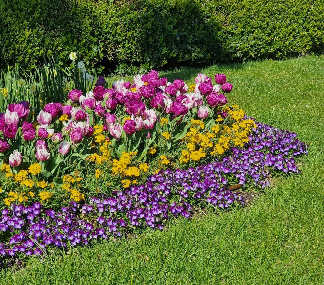 flow 360 property services professional services