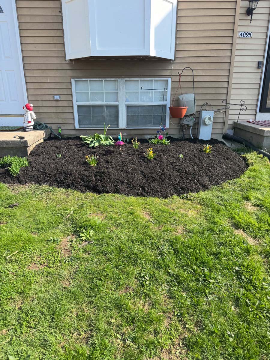 flow 360 property services professional services